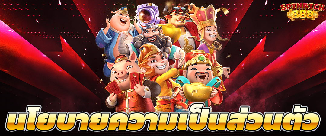 นโยบายความเป็นส่วนตัว